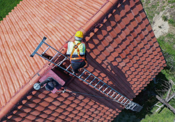 Best Roof Leak Repair  in Beatrice, NE