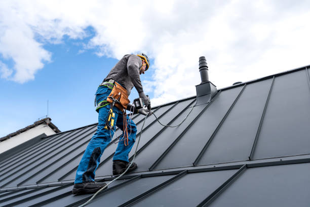 Best Rubber Roofing (EPDM, TPO)  in Beatrice, NE